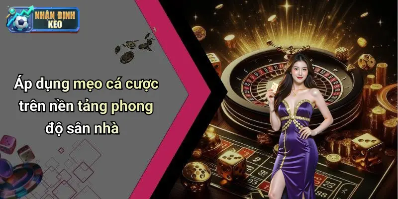 Áp dụng mẹo cá cược trên nền tảng phong độ sân nhà