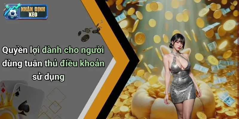Quyền lợi dành cho người dùng tuân thủ điều khoản sử dụng
