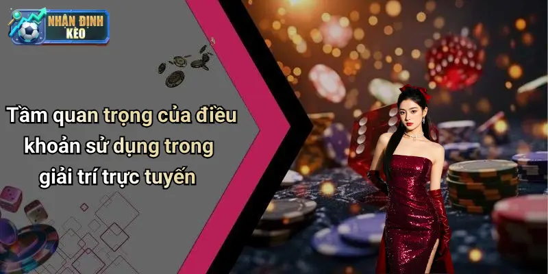 Tầm quan trọng của điều khoản sử dụng trong giải trí trực tuyến