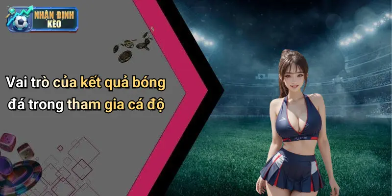 Vai trò của kết quả bóng đá trong tham gia cá độ