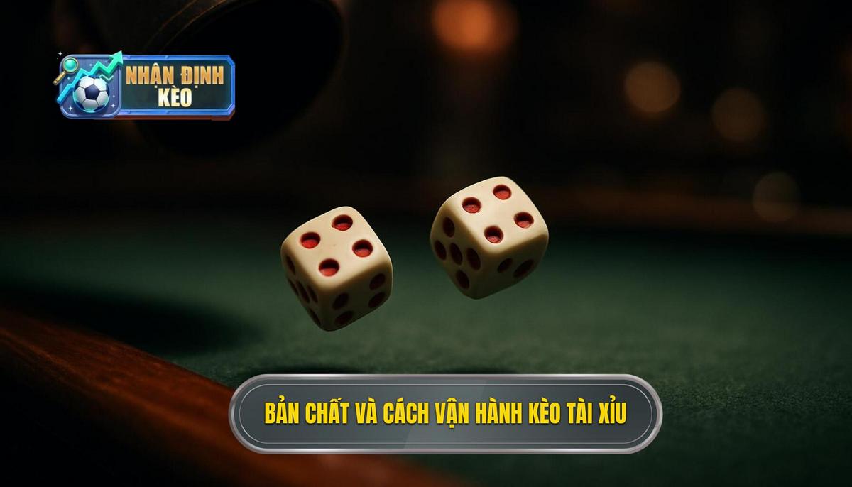 Bản chất và cách vận hành của kèo tài xỉu cả trận