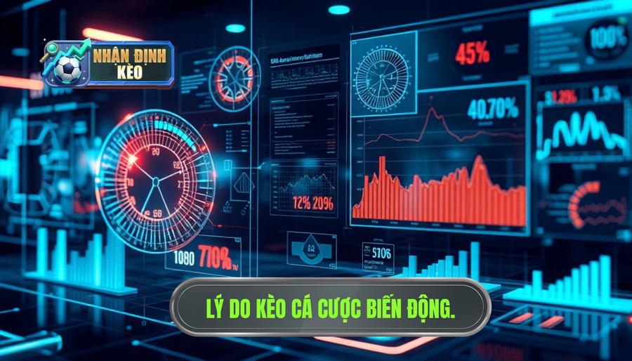 Phân tích đa chiều: Tại sao kèo lại biến động?